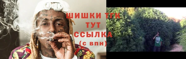 гидропоника Горно-Алтайск