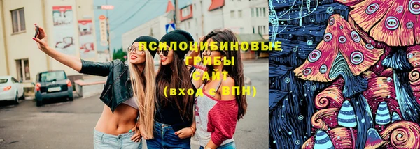 дмт Горнозаводск