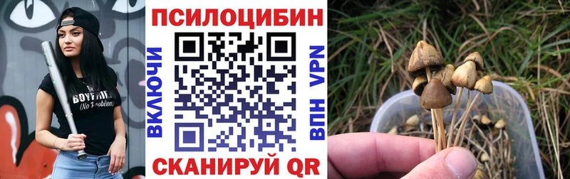 купить наркотик  Дальнереченск  OMG сайт  Галлюциногенные грибы GOLDEN TEACHER 